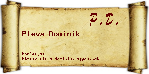 Pleva Dominik névjegykártya